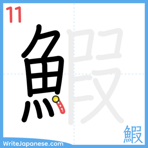 How to write "鰕" - stroke 11