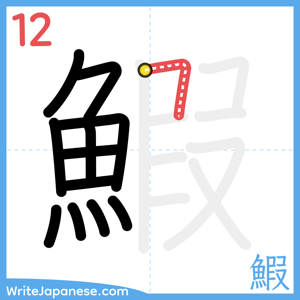 How to write "鰕" - stroke 12