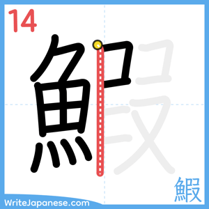 How to write "鰕" - stroke 14