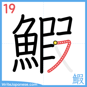 How to write "鰕" - stroke 19