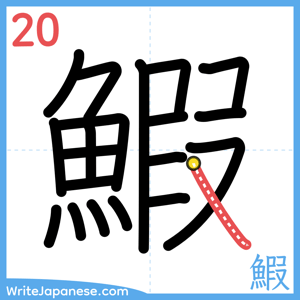 How to write "鰕" - stroke 20