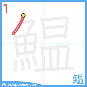 How to write "鰛" - stroke 1
