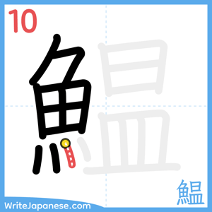 How to write "鰛" - stroke 10
