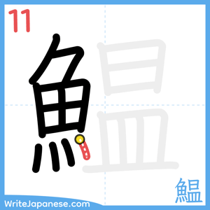 How to write "鰛" - stroke 11