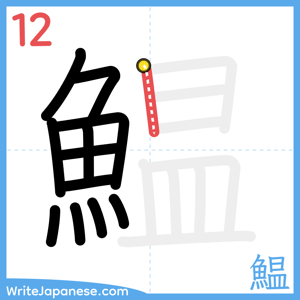 How to write "鰛" - stroke 12