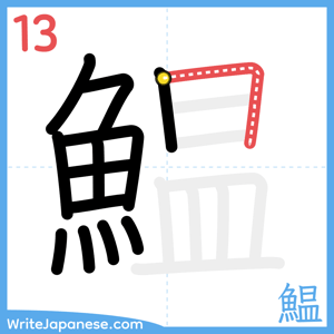 How to write "鰛" - stroke 13