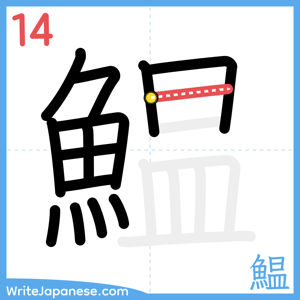 How to write "鰛" - stroke 14