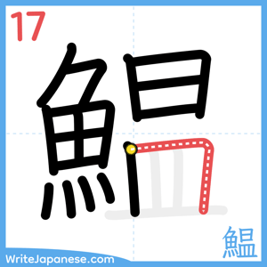 How to write "鰛" - stroke 17