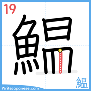 How to write "鰛" - stroke 19