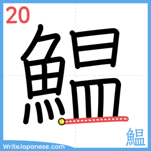 How to write "鰛" - stroke 20
