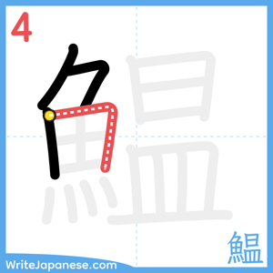 How to write "鰛" - stroke 4