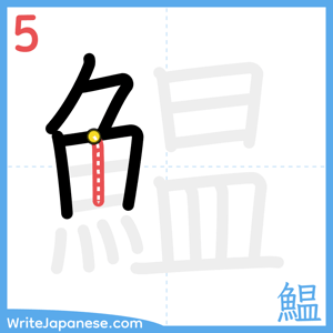 How to write "鰛" - stroke 5