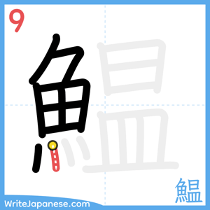 How to write "鰛" - stroke 9