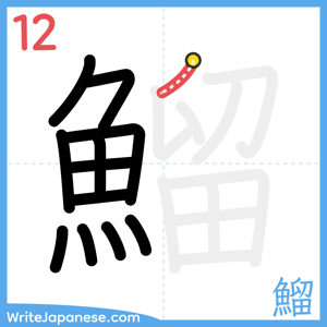How to write "鰡" - stroke 12