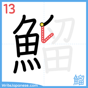 How to write "鰡" - stroke 13