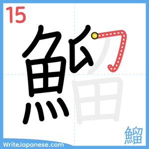 How to write "鰡" - stroke 15