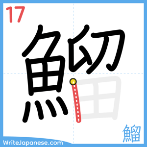 How to write "鰡" - stroke 17