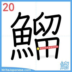 How to write "鰡" - stroke 20