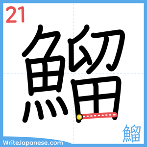 How to write "鰡" - stroke 21