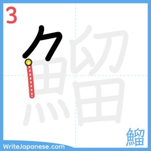 How to write "鰡" - stroke 3