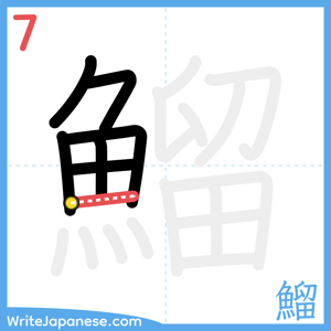 How to write "鰡" - stroke 7
