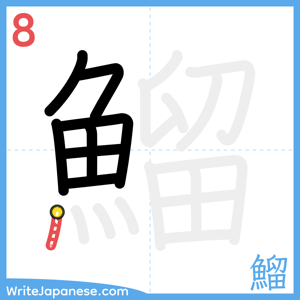 How to write "鰡" - stroke 8