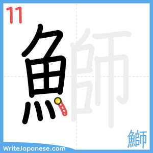 How to write "鰤" - stroke 11