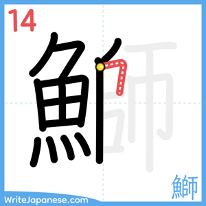 How to write "鰤" - stroke 14