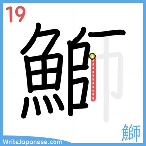 How to write "鰤" - stroke 19