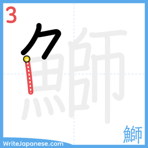 How to write "鰤" - stroke 3