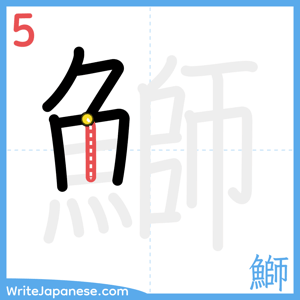 How to write "鰤" - stroke 5