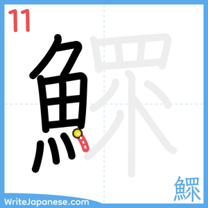 How to write "鰥" - stroke 11