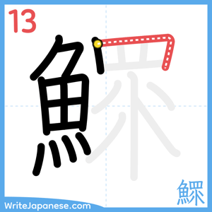 How to write "鰥" - stroke 13