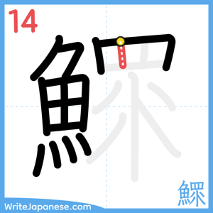 How to write "鰥" - stroke 14