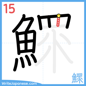 How to write "鰥" - stroke 15