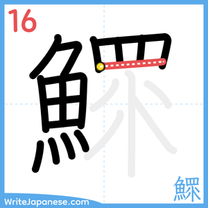 How to write "鰥" - stroke 16