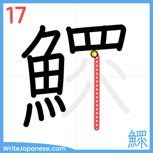 How to write "鰥" - stroke 17
