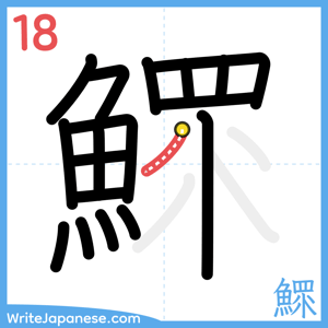 How to write "鰥" - stroke 18
