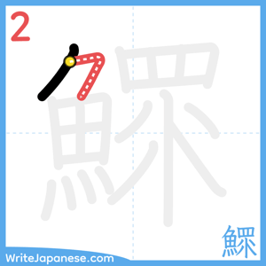 How to write "鰥" - stroke 2