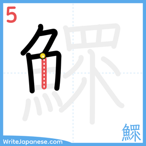 How to write "鰥" - stroke 5