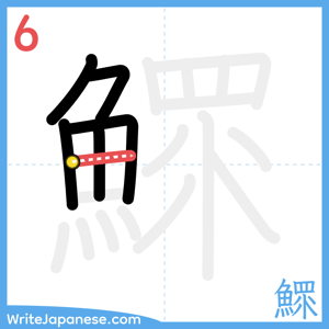 How to write "鰥" - stroke 6