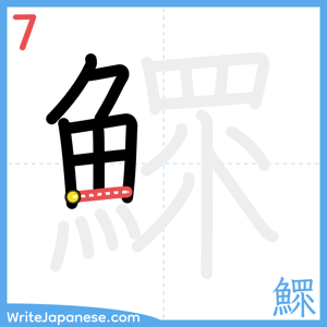 How to write "鰥" - stroke 7