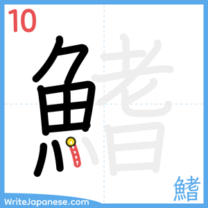 How to write "鰭" - stroke 10