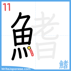 How to write "鰭" - stroke 11