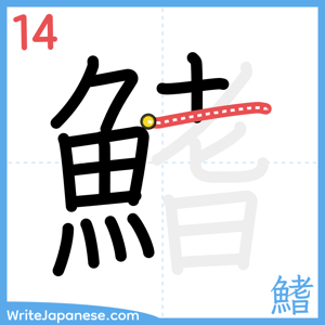 How to write "鰭" - stroke 14