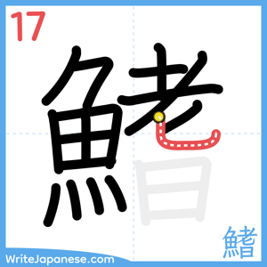 How to write "鰭" - stroke 17
