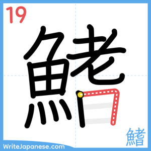 How to write "鰭" - stroke 19