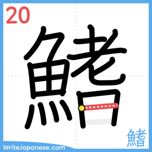 How to write "鰭" - stroke 20