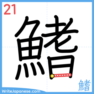 How to write "鰭" - stroke 21