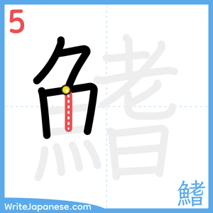 How to write "鰭" - stroke 5